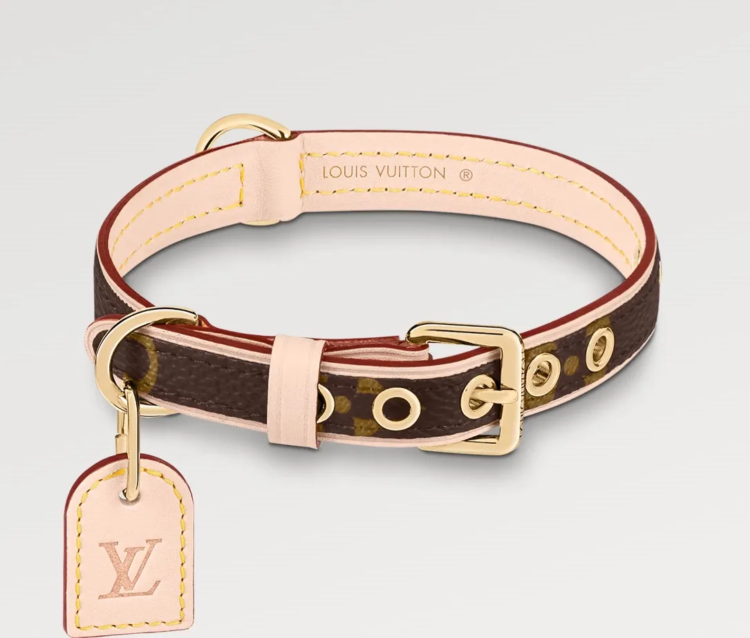 Louis Vuitton Collar XS Monogram