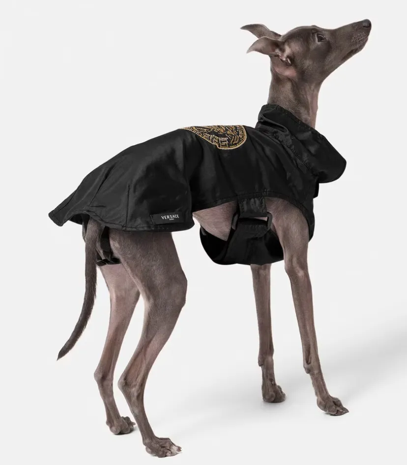 Versace Crystal Medusa Small Pet Raincoat